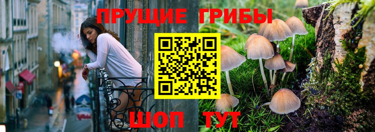 наркота  Вход с VPN  Отрадный  Псилоцибиновые грибы MAGIC MUSHROOMS 