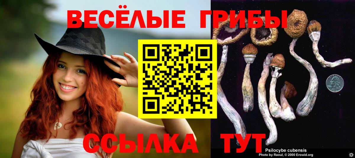Галлюциногенные грибы ЛСД Отрадный